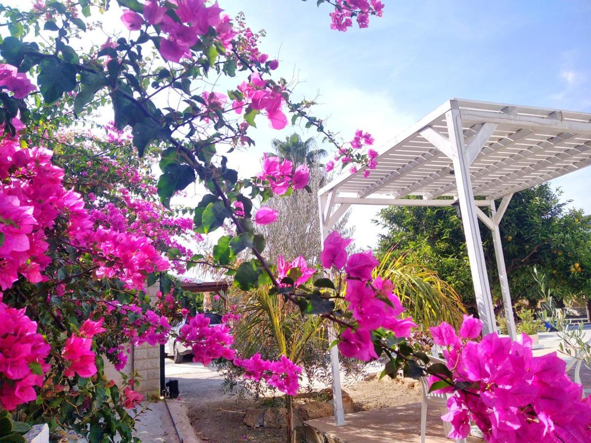 Finca El Aulagar Malaga Zewnętrze zdjęcie