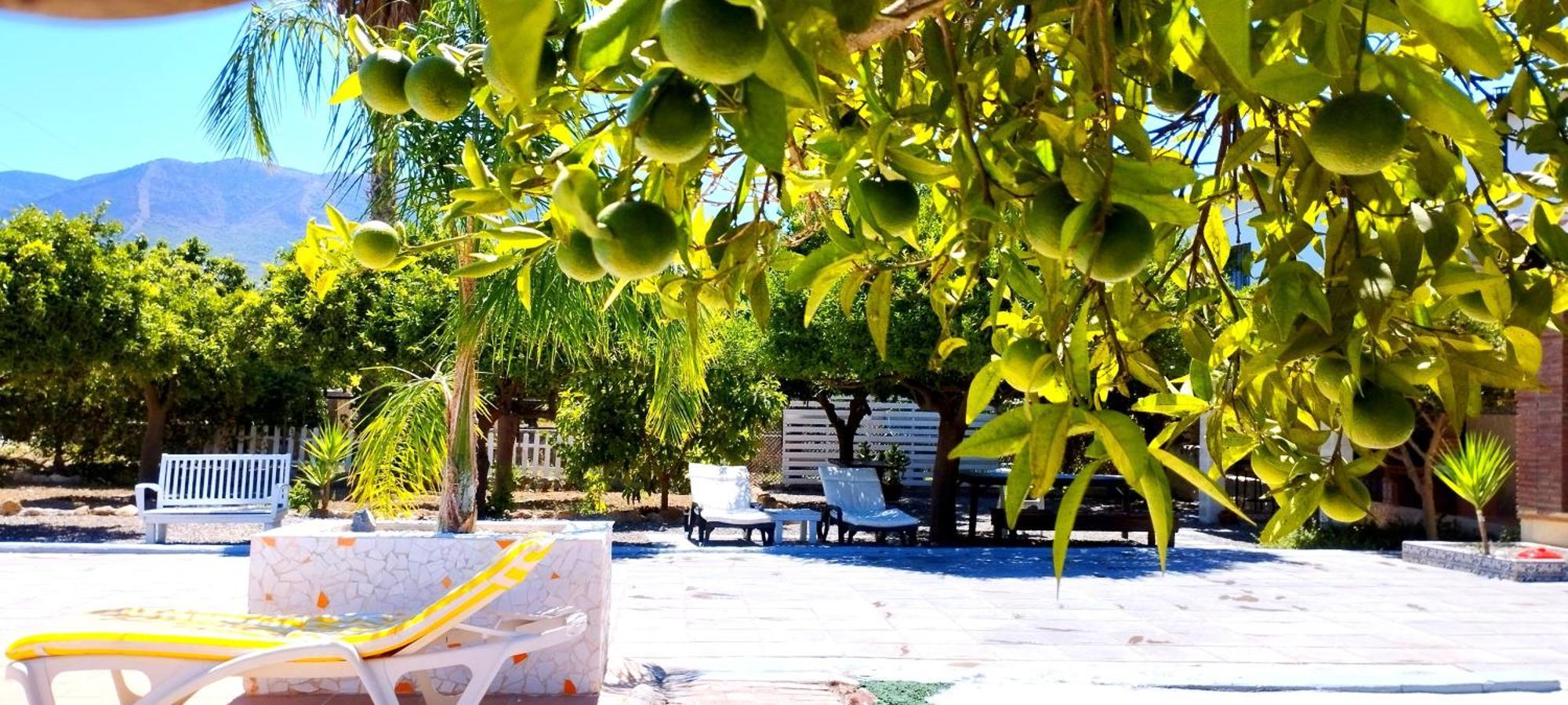 Finca El Aulagar Malaga Zewnętrze zdjęcie